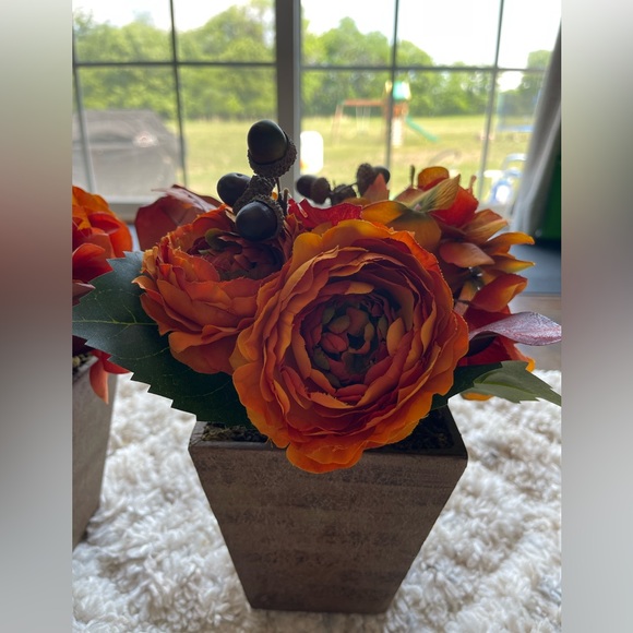 ⭐️ Set of 2 potted plant hydrangea/ranunculus. - Picture 4 of 11